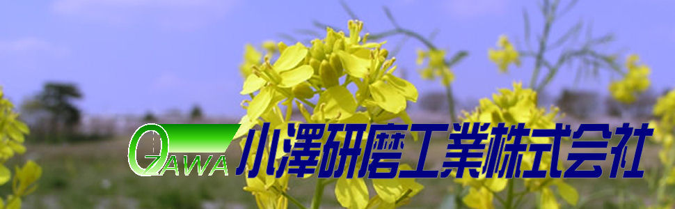 index.html